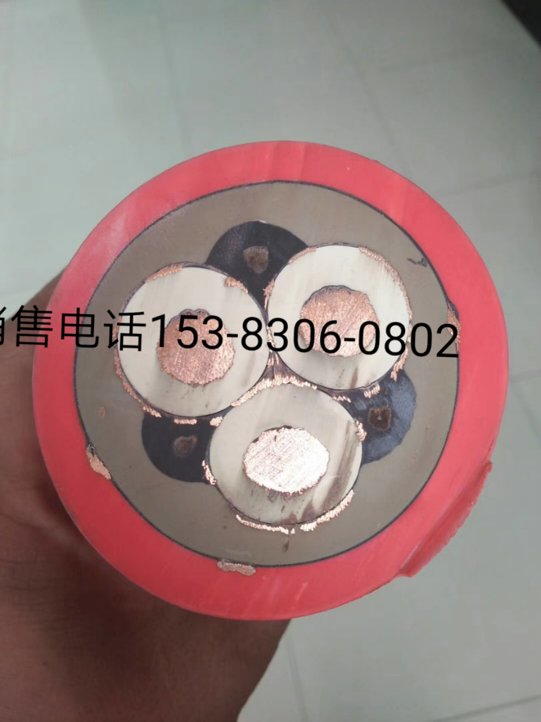 MCPTJ-1.9 3*50+1*16+4*2.5VƄαOҕܛ|