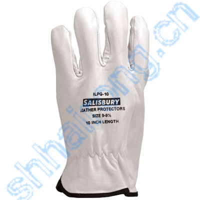 salisbury ILPG3S Ƥ ֱ L12