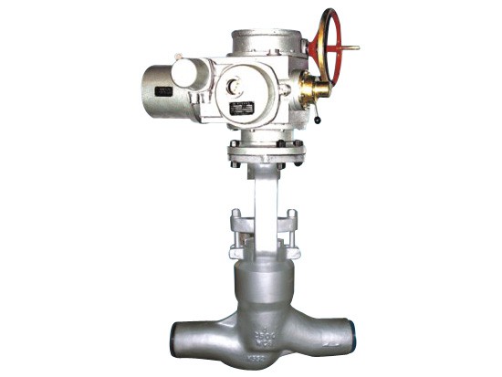 늄ӽֹy|Сڏģ命ֹy|Կؽֹy