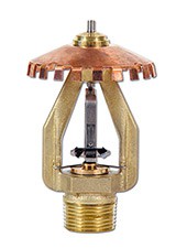 ESFR-17K17(Ӣ)ƿ푑(yng)ֱ͞ˮ^