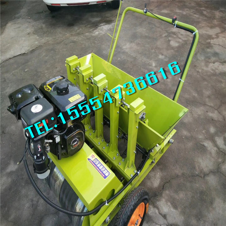 mڶδⲥNC ʽⲥNCS ʹⲥNC