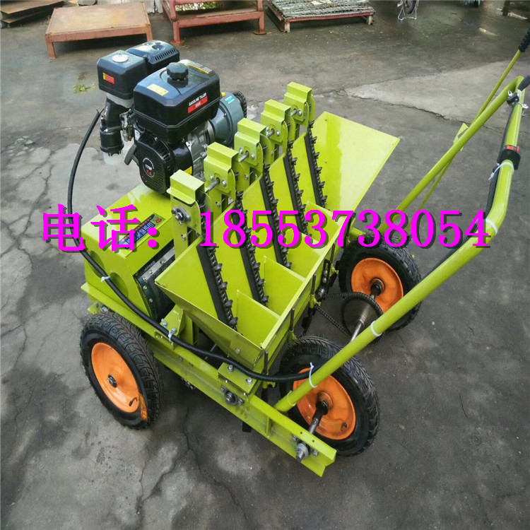 ๦ʽʡʹⲥNC(j)(ji)pg{(dio)^