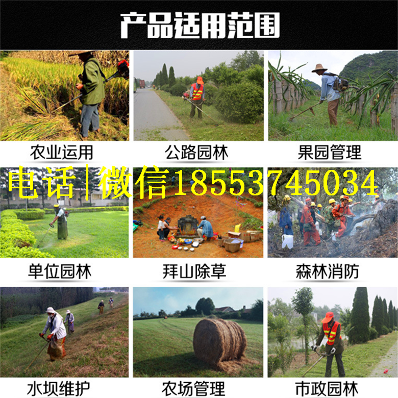 pzC  |ñؓʽݙC SֱN߶