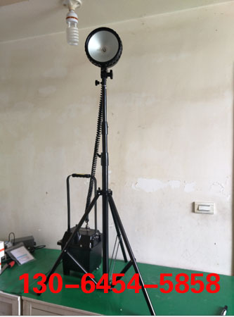 ̽՟ ZY631ȂB(ti)ֳʽ(qing)̽՟