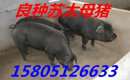 KK̫ĸi   !K̫ĸiXһ^!