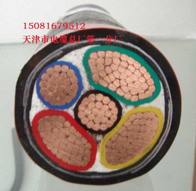 䓎zbӋ(j)C(j)ܛ| 450/750V	