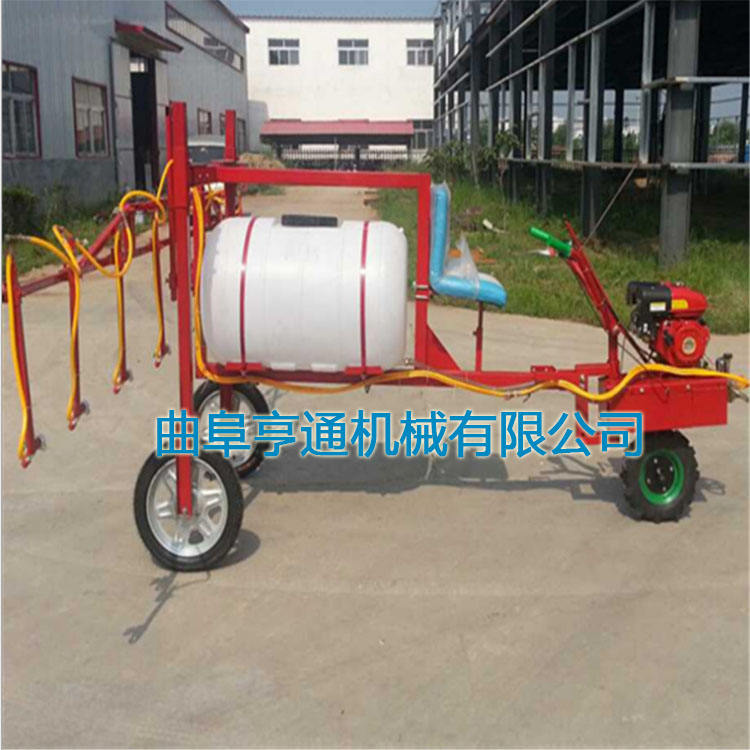 NʽˎC(j)  @ևF  ͸߉ˎC(j) r