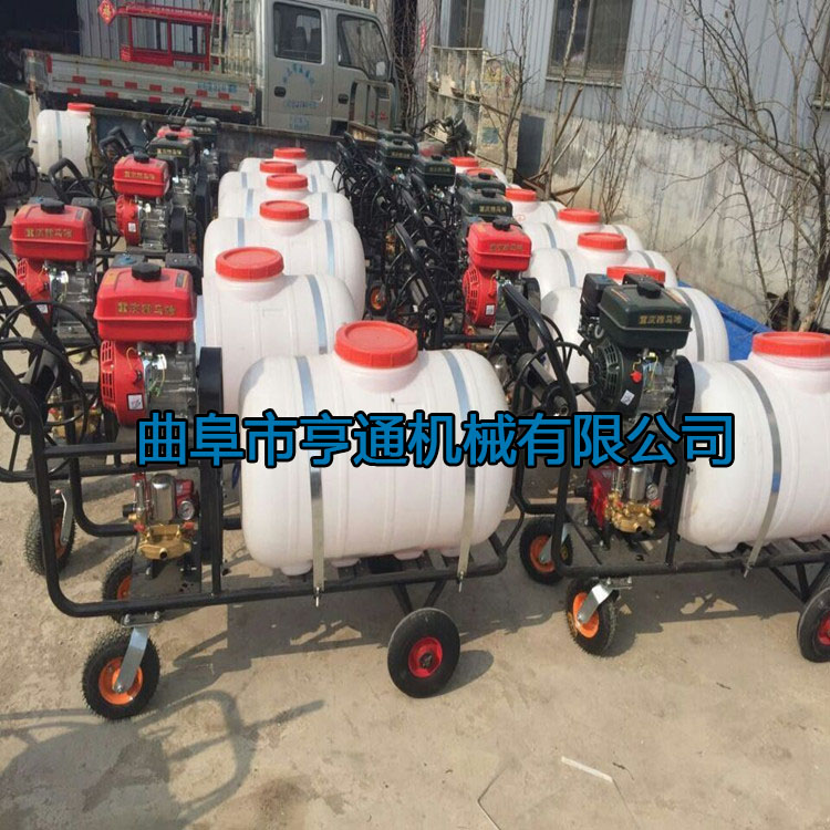 ۼtϴC عȥC, të݁ϴCX