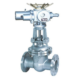 z41w늄(dng)PlySҞHHyT(mn)˾