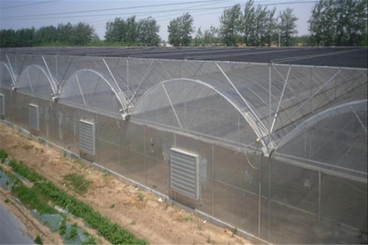 ͬ (lin)ӜҴｨ ʩS