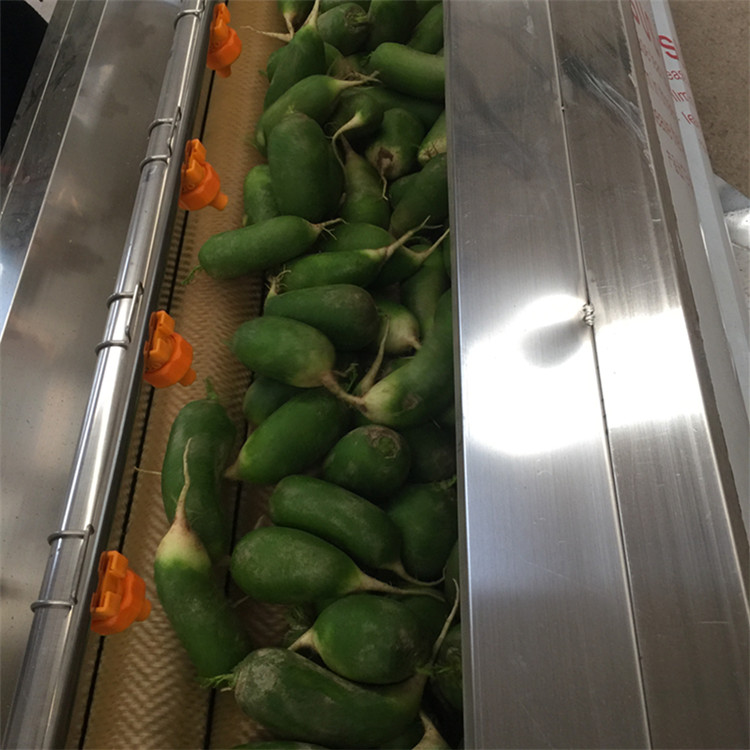 (yng)}ëȥƤϴC(j)   عχϴC(j)