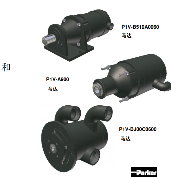 ɿparkerR_parkerɿ˚R_