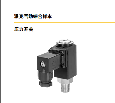 ɿˉ_P(gun)parker_P(gun)P01913