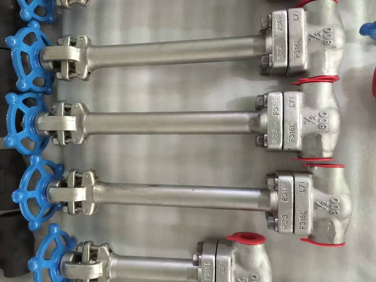 P䓵ֹ͜y 316L͜غֹyDH61Y-150LB