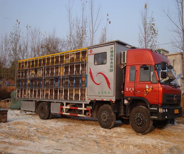 B(yng)܇(sh)F(xin)߅B(yng)߅е