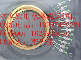 SֱNβw12оFCβw12оSCβw