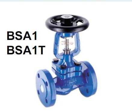 BSA2BSA2Tyֹܽy ӢM˹ɯ