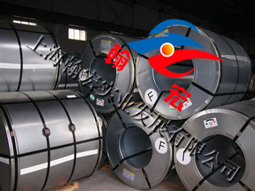 SUS301P䓰 SUS301 SUS301