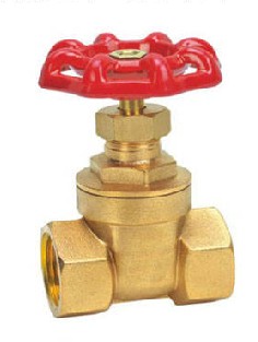 ݼy~lyZ11W-16T-hһƎ湩