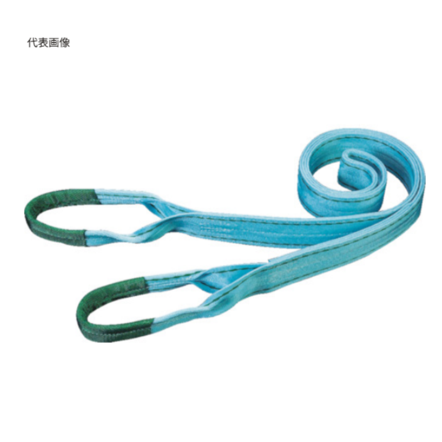 ƽɽNձTAMUTAI؎PE0750300