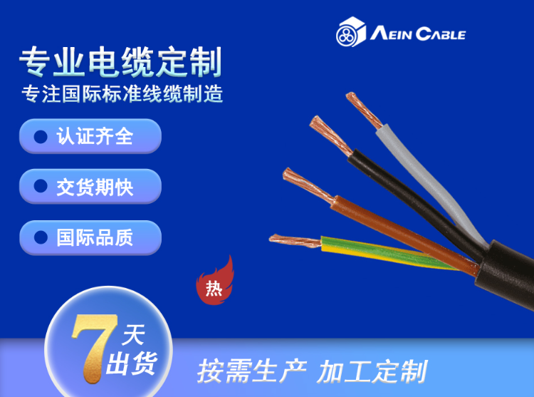 RNCTFK 450/750VߏיEAܛ|