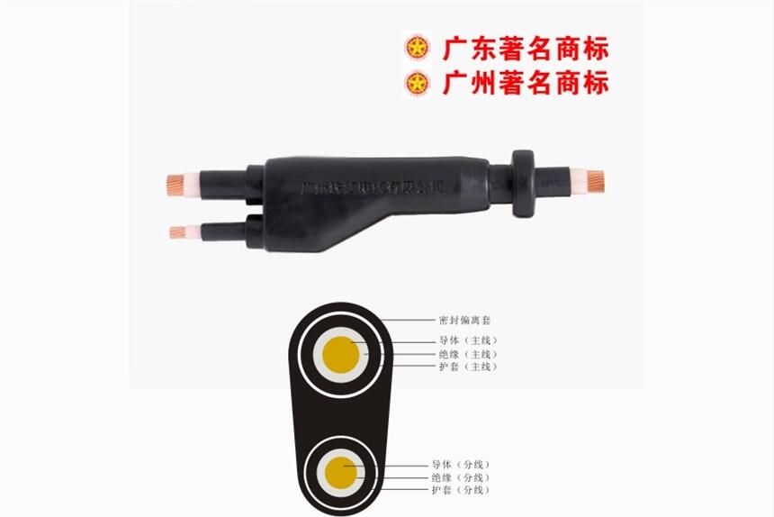 WDZ-FZ-YJY ou͟ȼA֧|S