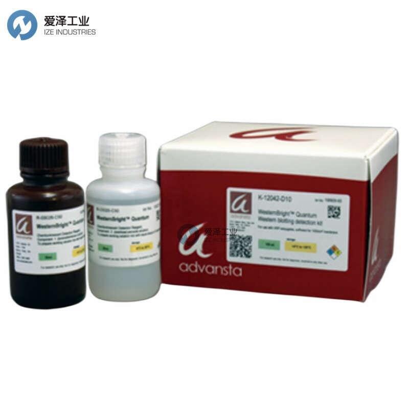 ADVANSTAlҺK-12042-D20