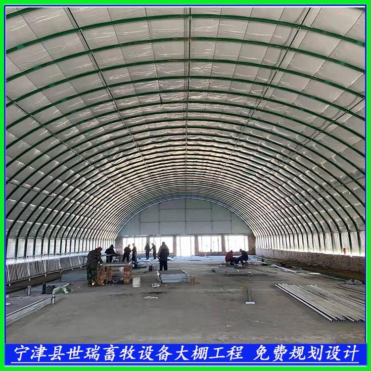 B(yng)ţţʩ B(yng)ţҎ(gu)OӋ 䓼ܱţﰲb