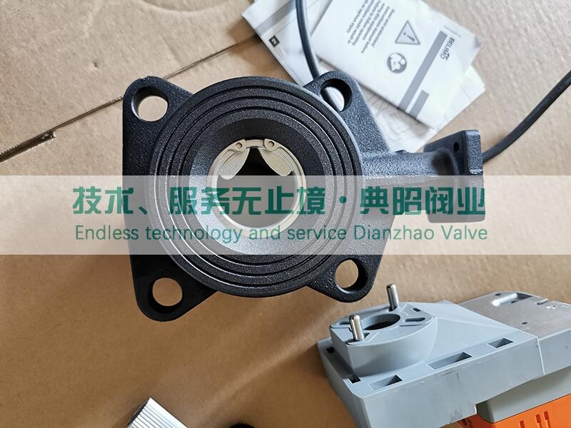 belimo\R664AO늄ӿySR24S-SR-5