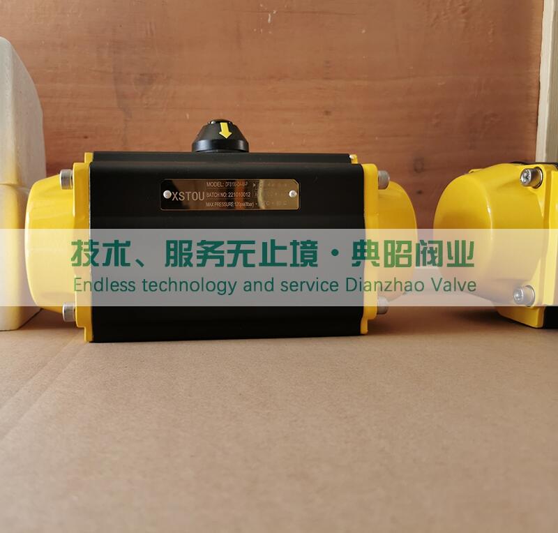 XSTOU DFS100-DA-M-Pӈ