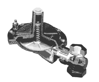 Mark 508͉y JordanyTϺ}F؛