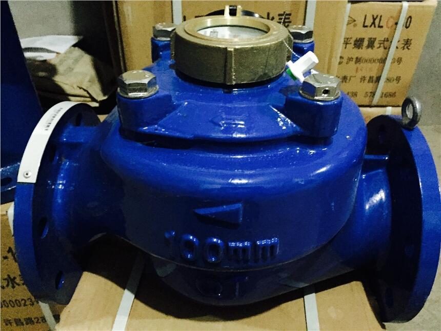 ϺˮSLXS  DN100ʽˮˮˮˮF؛