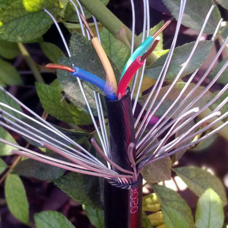 ȫܿ|19*1.5KVVP2-32ο|