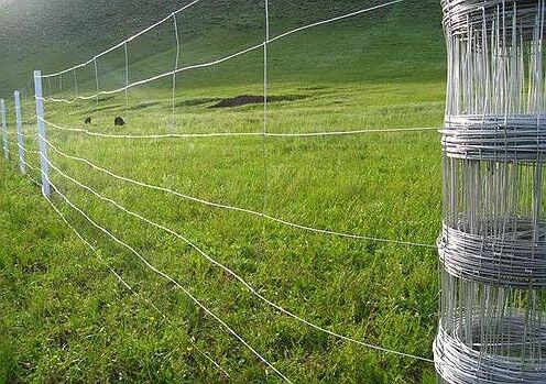 ĴSԴzWƷ ԭW ţھW \z ؇ ȦB ߅¾G