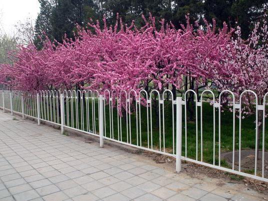 ĴSԴٽzW(wng)Ʒ Fˇϵ ^ ׃ b LԾW(wng) Rr