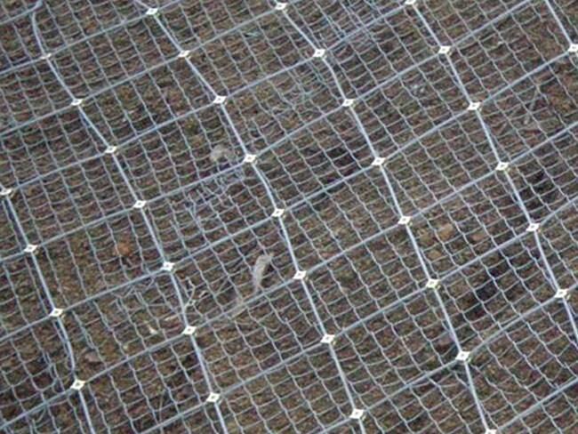 ĴSԴٽzW SNSӷoϵy ԷoW ӹ̷o