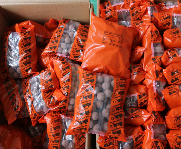 ʩ~˹SCHMITZ坍z26RS20MO