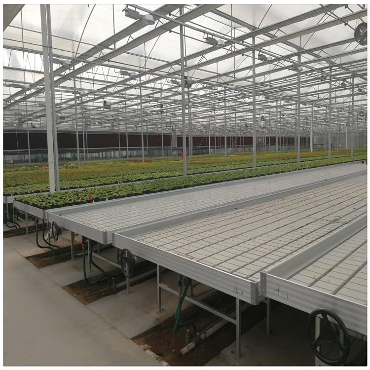 ʹóϫ紲ϵya(ji)ʆ᣿