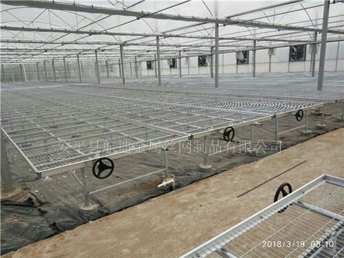 SɽƄʽ紲xُ5Ҫغ紲