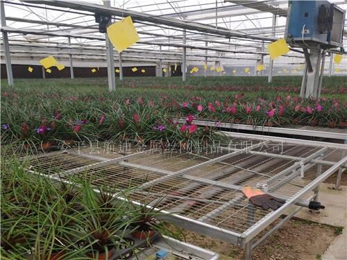 ܝL(dng)紲ӹ-(sh)wS