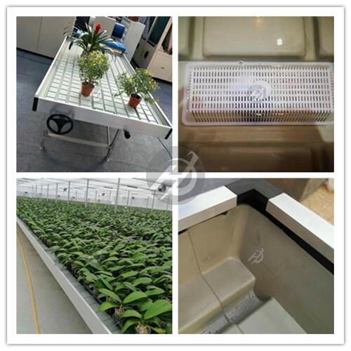 ⾀ϲ|(zh)ലҳϫʽ紲