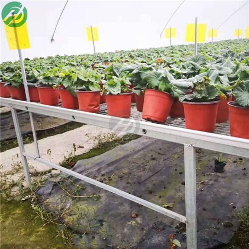 ҹ̶紲/紲ӆ/ڶ̳؛