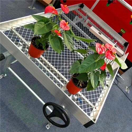  ̶紲 Ƅ紲 ϫ紲^(q)e