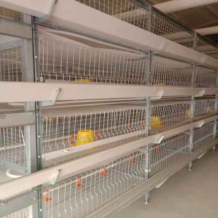 ȫԄӻ\B(yng)uO(sh)R