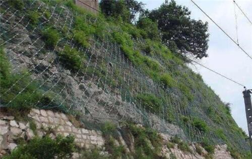 ߅·oWA߅·oWɶҎRȫ