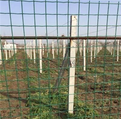 Ȧ؇ھWAhABֳWɶ bʽ