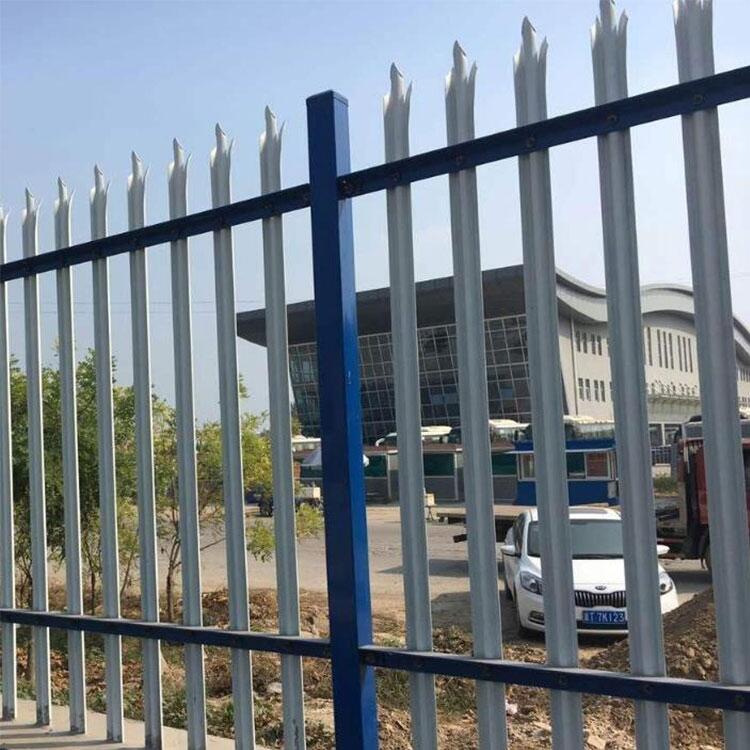 ͥԺe {С^oڏS hAɰb