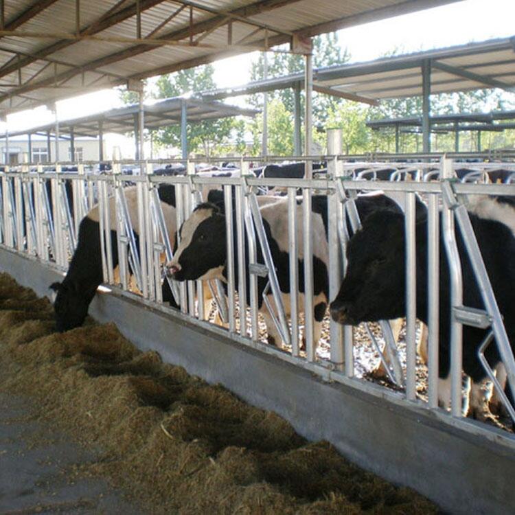 iʽ\|ţiϣ68λţiAaS