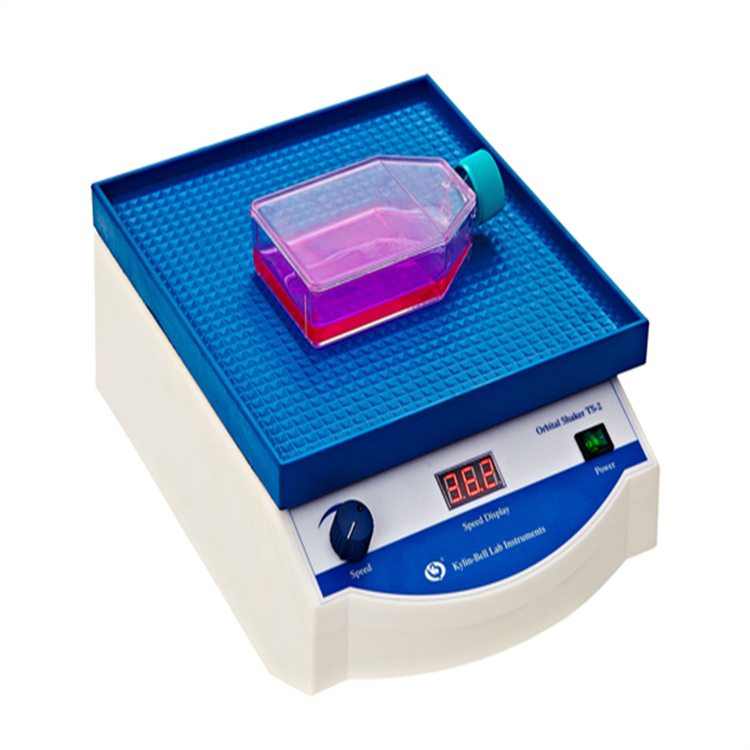 ؐTS-2͌Óɫu @ʾ oO{