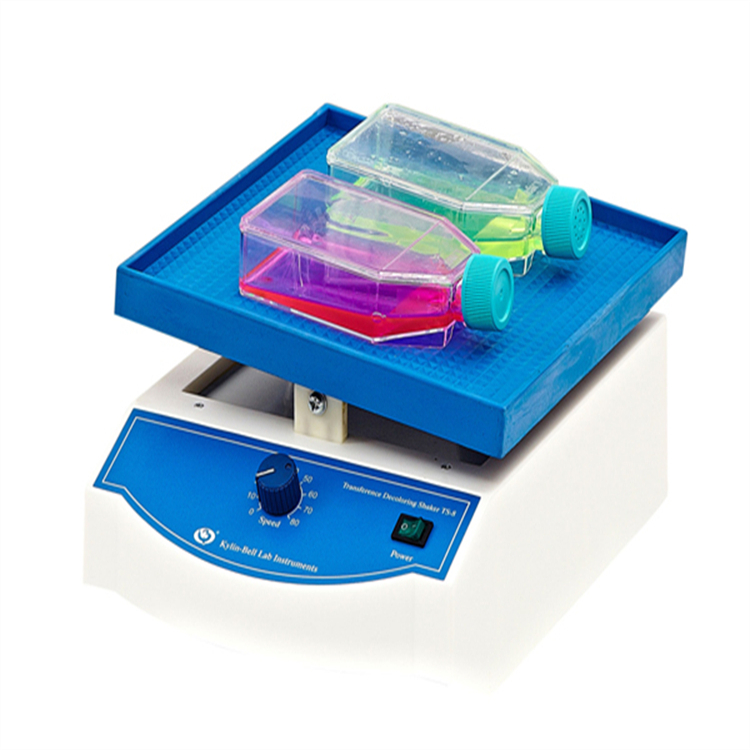 ؐ TS-8 DÓɫu EEʽʎÓɫDƺÎ